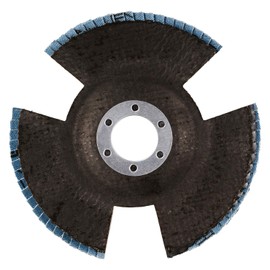 Rhodius Vision Pro Flap Disc 125 x 22.23 Grit 60 Pack of 10