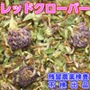 レッドクローバー(シングルハーブティー） チャック付新鮮パック 100ｇ入り 茶葉 リーフタイプ【残留農薬検査済み 】日光茶房 ハーブティー お茶 健康茶 通販