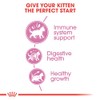 Royal Canin Royal Canin Feline Health Nutrition Kitten Dry, 7