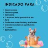 Vetriderm 2packvetriderm Jabón Derma+premio Perro Anchovetas80gr Bleiz