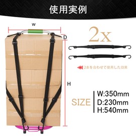 Set of 2, 23.6 inches (60 cm) Long Fastening Cords, For Bed Clothes, Elastic Rope, Freely Stretchable, Cargo Fastening, Bike Equipment, Carry Cart, Prevents Loads Collapse, Includes Hooks, Black