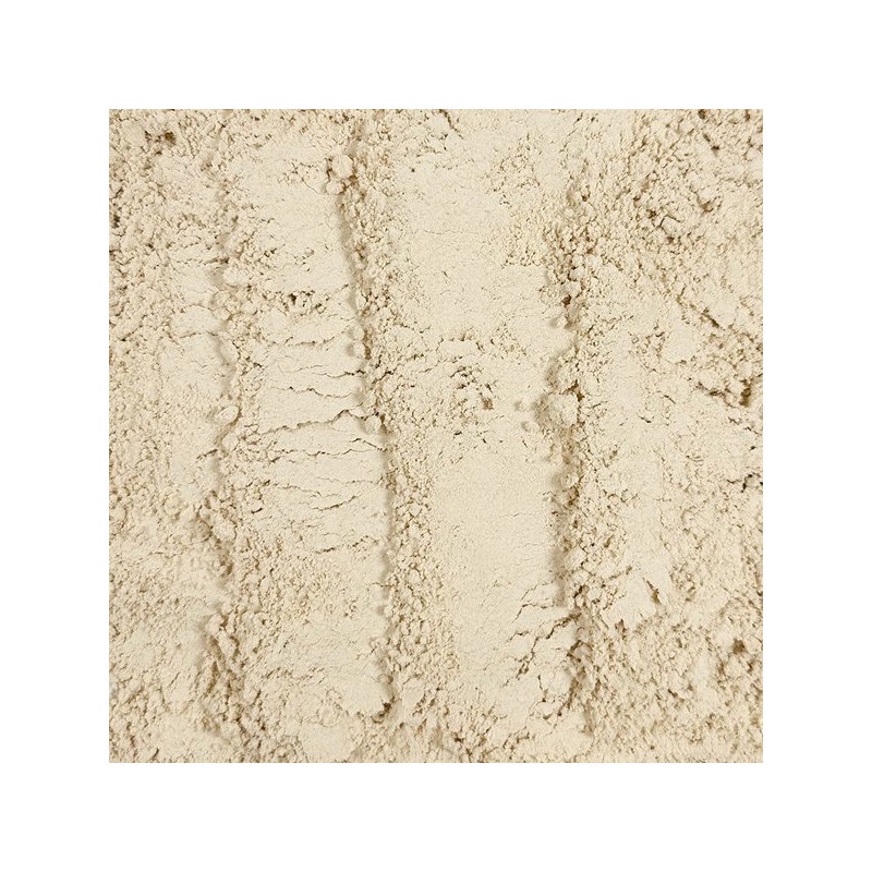 Oherb 고운 차전자피 분말 500g 차전차피 질경이 껍질 가루 실리엄허스크