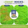 Smart Rocks Max | Urine Neutrialiser Rocks To Stop Grass