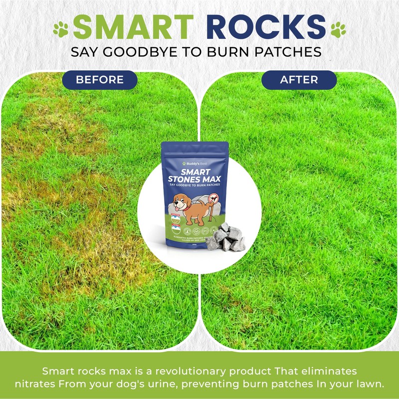 Smart Rocks Max | Urine Neutrialiser Rocks To Stop Grass