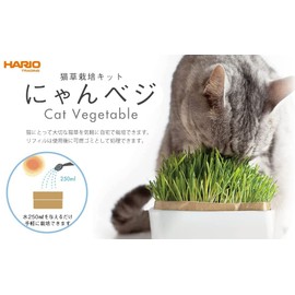 Hario Cat Grass Cultivation Kit, Nyanvegi, Others Set, Cat