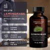 Brooklyn Botany Lemongrass Essential Oil - 100% Pure and Natural
