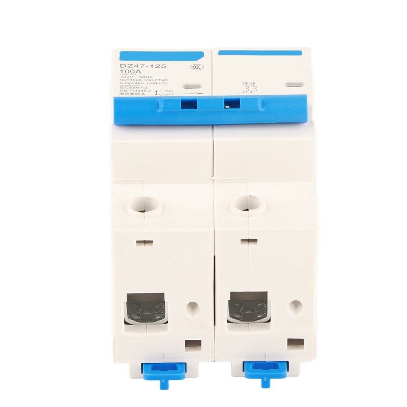 400V 80/100/125A Leakage Protection Switch DZ47‑125 2P​ Current Miniature Circuit