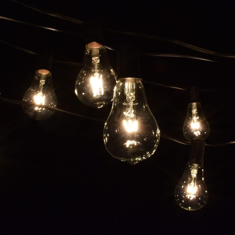 Hometown Evolution, Inc. Vintage Edison Outdoor String Lights (PS50 Clear