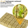 Aatacas 1.5 Inch Rockwool Cubes, Hydroponic Grow Media for Vigorous