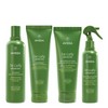 Aveda Be Curly Advanced™ Quad Bundle