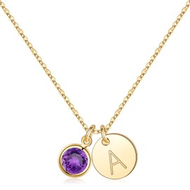 Hidepoo Initial Birthstone Necklace for Women, 14K Gold Plated Disc Initial A Necklace Amethyst Birthstone Disc Initial Pendant Necklace February Birthstone Jewelry Necklaces for Women