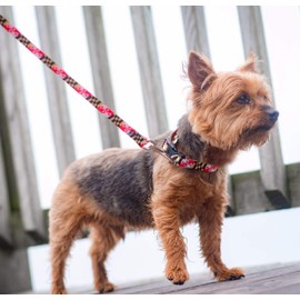 Maryland Flag Dog Leash Maryland My Maryland, redyellow, 6 foot