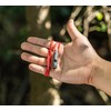 Boundless Voyage Titanium Whistle Emergency Survival Safety Whistles with Lanyard