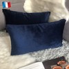 Douceur De Plumes Set of 2 Velvet Cushion Covers 40