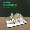 PAPER-CAPERS DINOCRAFT 01 : Triceratops | 3D Dinosaur Paper Skeleton