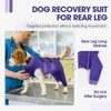 QBLEEV Dog Surgery Recovery Suit for Rear Legs, Long Back
