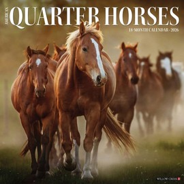 American Quarter Horses 2026 12" x 12" Wall Calendar