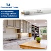 Valoisa 17" T4 16W Fluorescent Light Bulb, Replacement for Westek