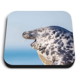 1 x Square MDF Fridge Magnet - ny Laughing Seal Harbour Sea 45102