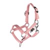 HKM Hobby Horsing Halter Set Basic Halter and Rope for