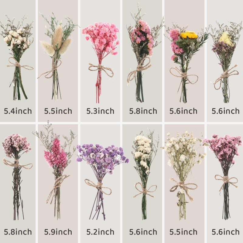 WGXX 12 Pack Dried Flowers for Vase Various Mini Bouquet