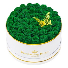 Preserved Roses Forever Flowers Real Roses in a Box Mother's Day Birthday Flowers for Her Mom Women Wife Valentine's Day, Green, 47 Piece