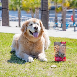 Ark Naturals Gray Muzzle Heart Healthy Wags Plenty Dog Chews, Vet Recommended for Senior Dogs to Support Heart Muscle, Blood Pressure and Circulation, Natural Ingredients, 60 Count