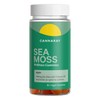 Cannaray Sea Moss Gummies 60