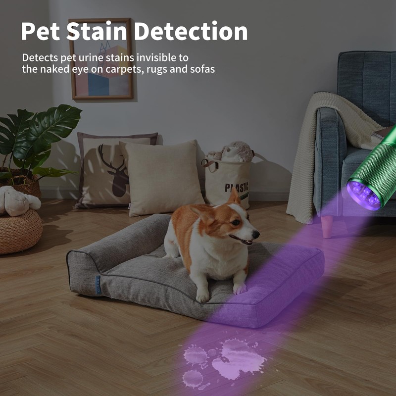 LEAGY 6 Pack UV Ultra Violet Blacklight 9 LED Flashlight