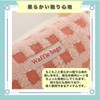ideastore Pencil Case, Korean Pen Case, Cute, Simple, Stylish, High
