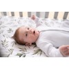 The Gilded Bird Organic Cotton Fitted Cot/Cotbed Sheet, Fits 120cm