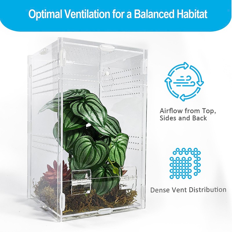 Duedusto Jumping Spider Enclosure 6”x6”x10”, Arboreal Tarantula Enclosure, Praying Mantis