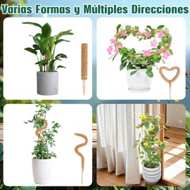 4 Pcs Tutor para Plantas 64CM de Poste de Musgo Flexible para Plantas Monstera Tutores para Plantas con 4 Rollo Cuerda de Yute/10Pcs Etiquetas Poste de Musgo Plegable para Plantas de COCO Soporte