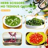 Fun Unique Kitchen Gadgets: Herb Scissors Set - Updated 2025