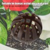 100pcs/ Set Reusable Portable Fertilizer Cover Box Basket for Bonsai