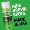 Seymour 20-602 Grass and Shrub Renew Paint, Pristine Green, 2/Pack