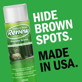 Seymour 20-602 Grass and Shrub Renew Paint, Pristine Green, 2/Pack