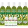 5 Shampoos Aceite De Bergamota Mas 3 Aceites