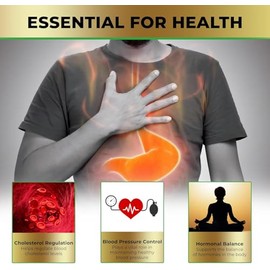 Liver Support Supplements - Cycle Support Liver Cleanse Detox and Repair - Choline Supplement - PCT Blood Pressure Supplement - 120 Capsules (2)