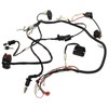 Full Electric Wire Harness Wiring Harness Loom CDI Coil Solenoid