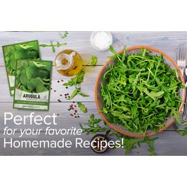 Arugula Seeds for Planting - Roquette Variety Heirloom Non-GMO Vegetable Plant for Home Garden Vegetables Great for Winter and Spring Makes a Great Gift for Gardening by Gardeners Basics