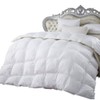 Luxurious 300-Thread-Count Queen 300TC Down Comforter 700FP Egyptian 300 TC