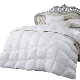 Luxurious 300-Thread-Count Queen 300TC Down Comforter 700FP Egyptian 300 TC