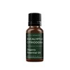 Mystic Moments | Organic Eucalyptus Citriodora Essential Oil 10ml -