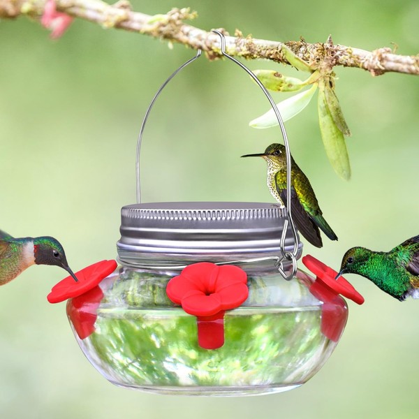 Glass Hummingbird Feeders for Outdoors Hanging, Cute Mason Jar Shape