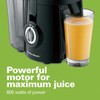 Hamilton Beach 67601 Big Mouth Juice Extractor, Black (Discontinued)