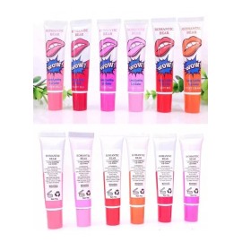 Set 6 Labiales Romantic Bear Indeleble Tinta Coreana 15gr Colores Surtidos
