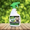 Pre-Mixed Grass and Turf Paint - All Natural Pet-Friendly Lawn