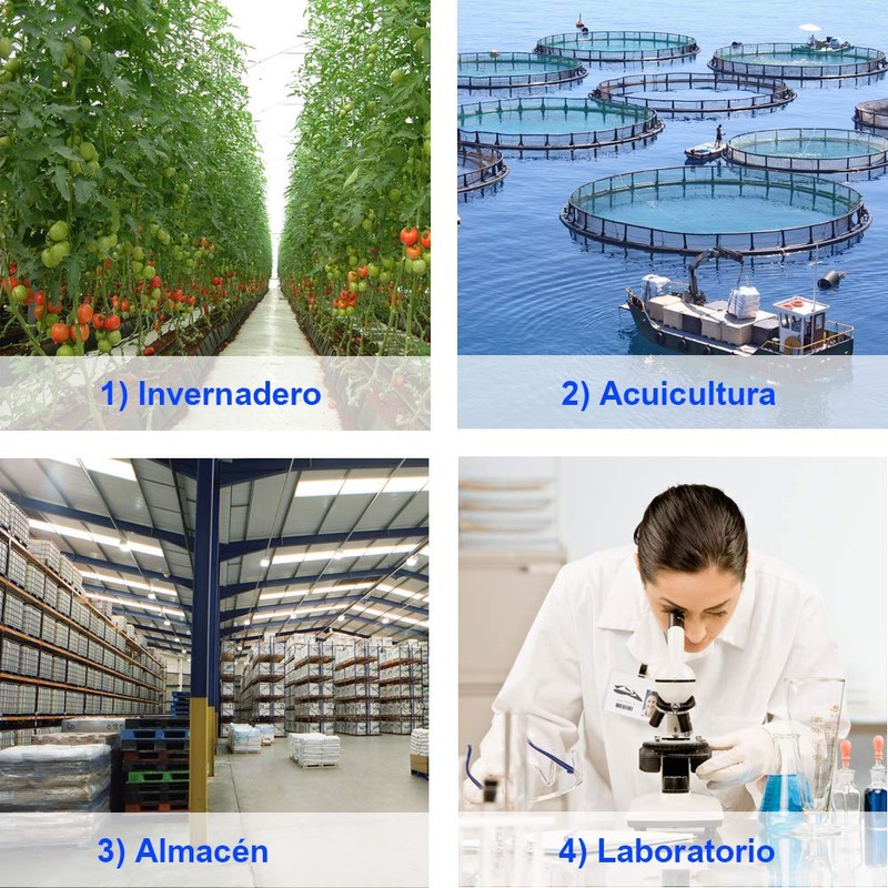 Digital Psychrometer - Handheld Temperature and Humidity Meter Gauge with