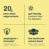 Sprout Living Organic Superfood Plant Protein, Coffee Mushroom